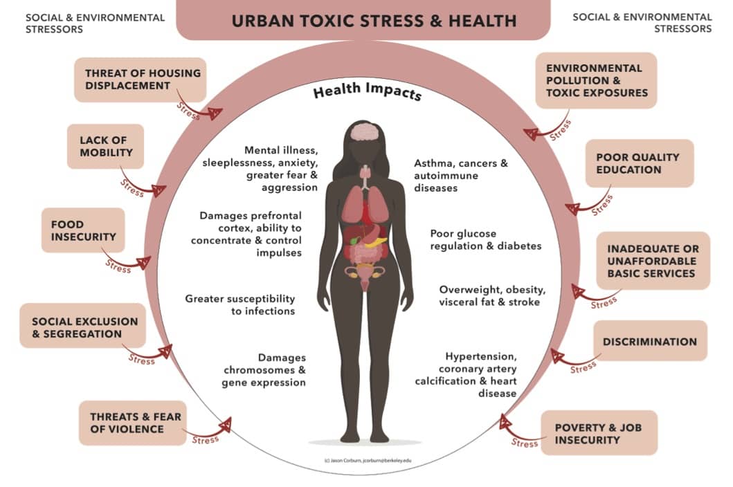 <strong>Figure 3.</strong> Urban toxic stressors that must be addressed for healing cities and climate justice.