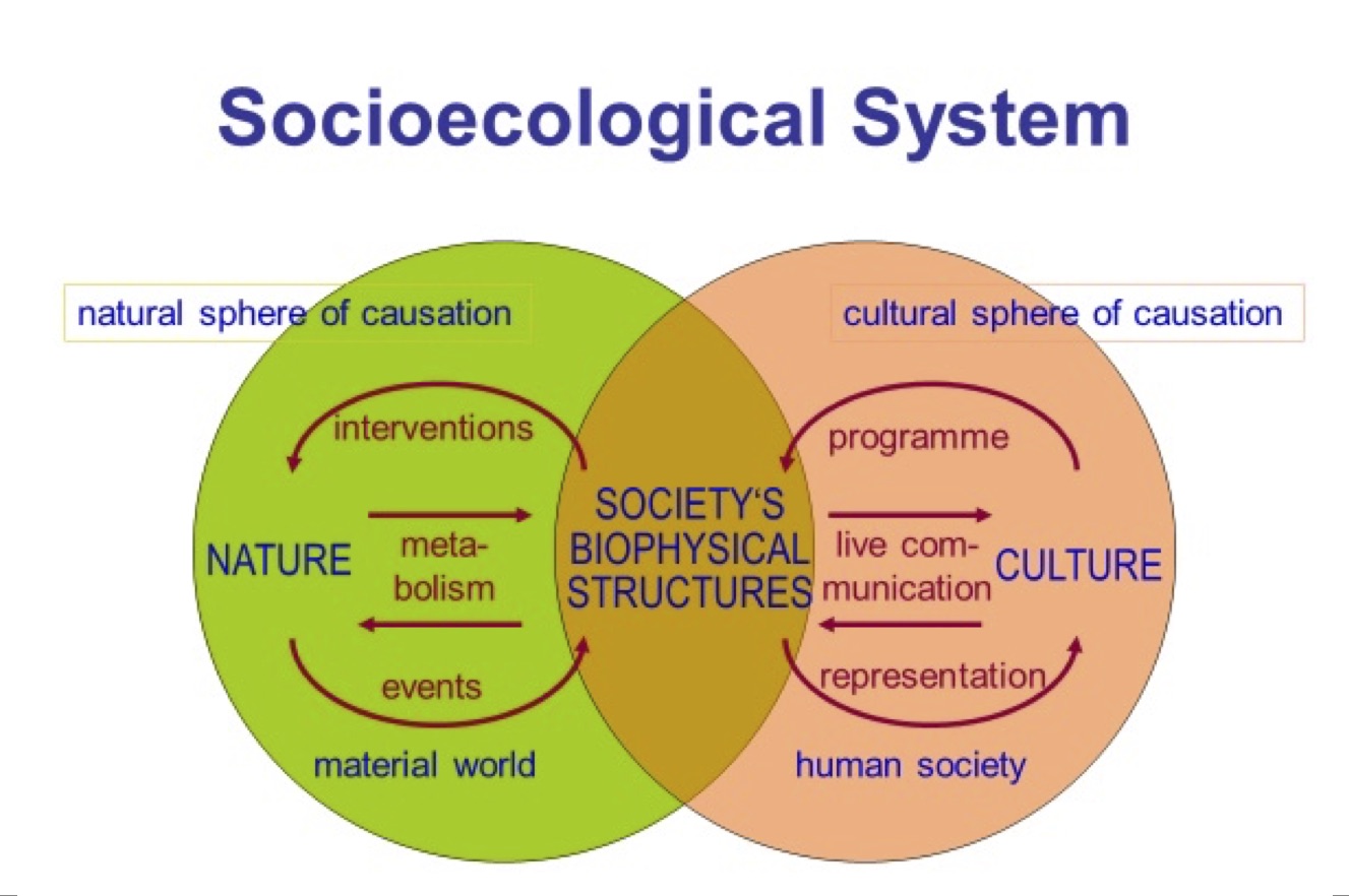 <strong>Figure 1.</strong> Metabolism and colonizing interventions as core linkages between society and nature. Image © Marina Fischer-Kowalski.