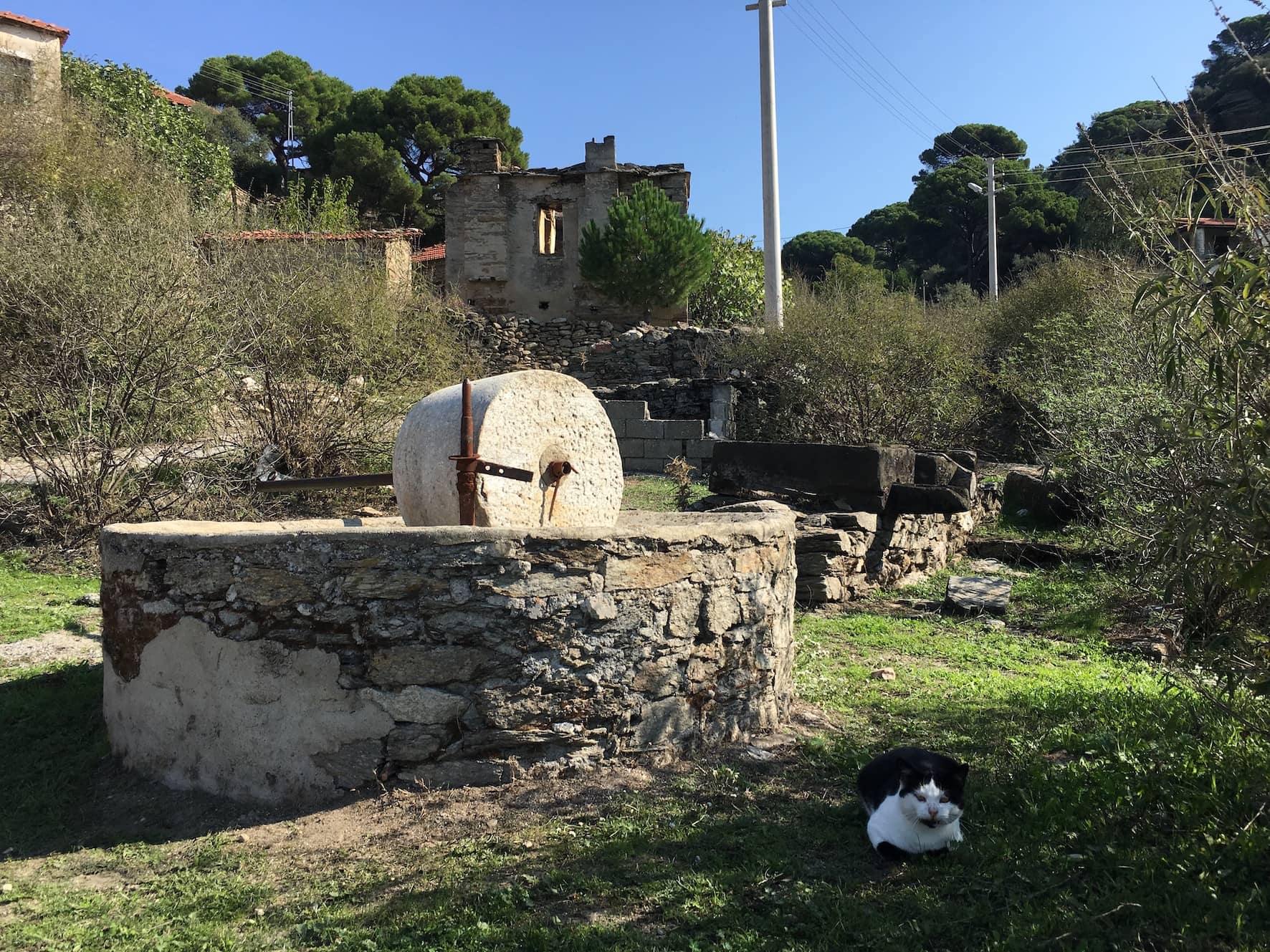 Figure 3. Olive wells and mills from Bayırdamı.