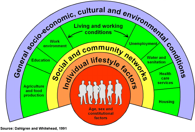 The Rainbow model of the determinants of health (Dahlgren & Whitehead, 1991).