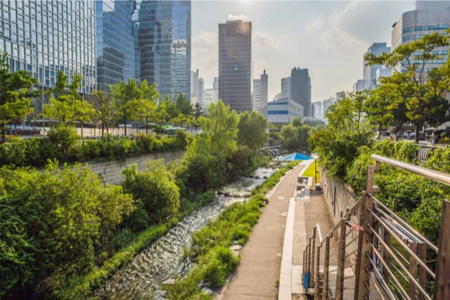 The Cheonggyecheon Restoration Project in Seoul rejuvenated a river system that had been buried underground. This nature-based solution increased biodiversity, reduced urban heat island effects, improved flood protection & created many social benefits.