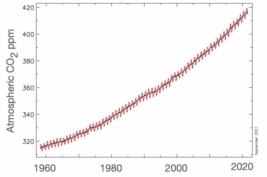 Measured atmospheric CO2 at Mauna Loa Observatory.  Note: red = the monthly mean values; black = the same, after correction for the average seasonal cycle. 