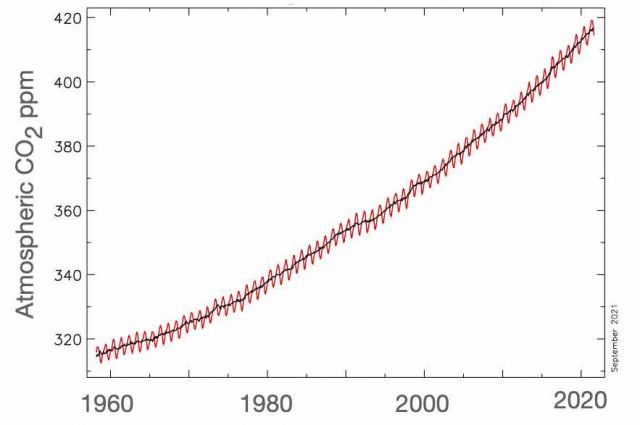 Measured atmospheric CO2 at Mauna Loa Observatory.  Note: red = the monthly mean values; black = the same, after correction for the average seasonal cycle. 