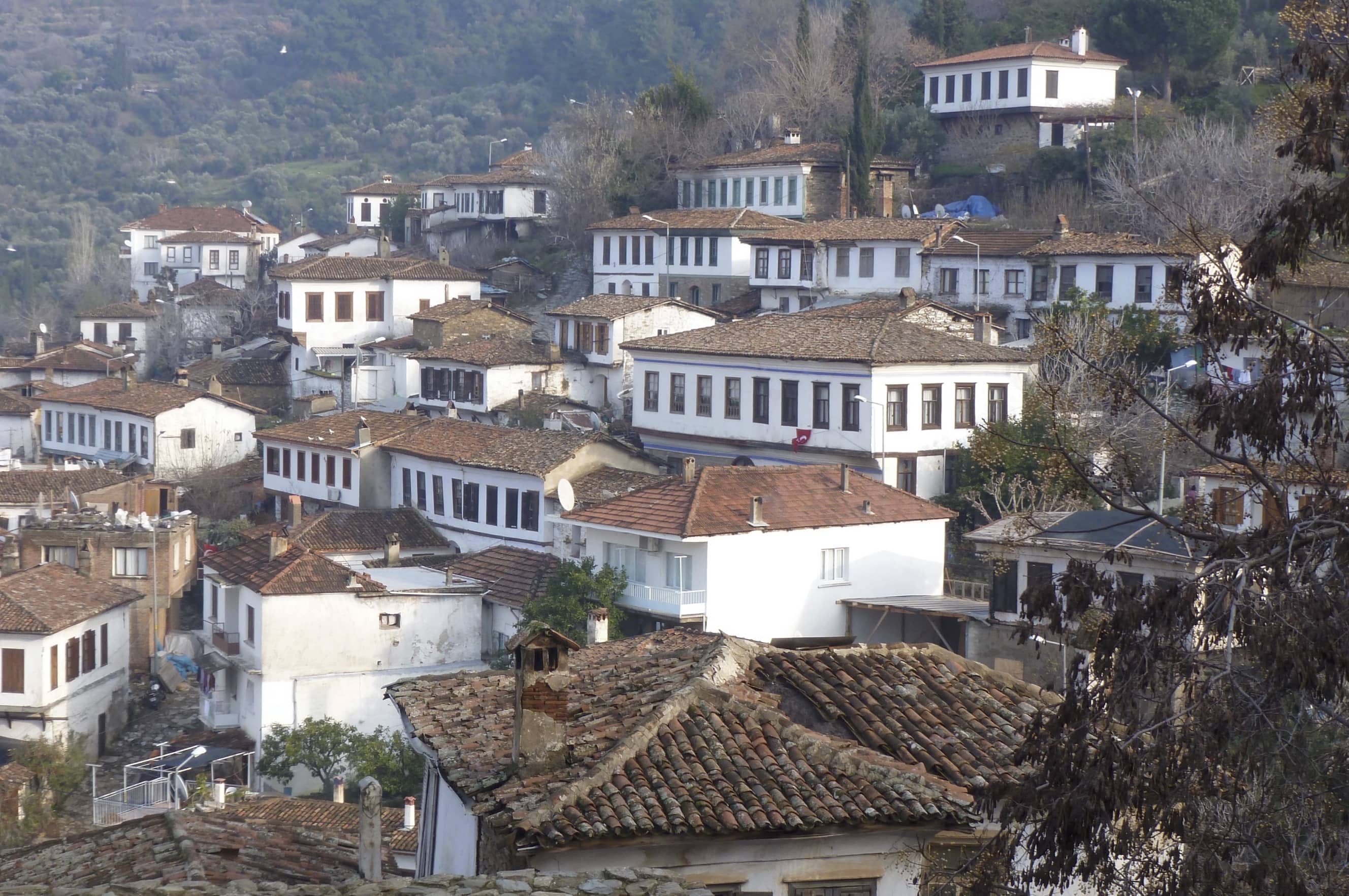 Analysis of Vernacular Architecture in Terms of Sustainable Considerations