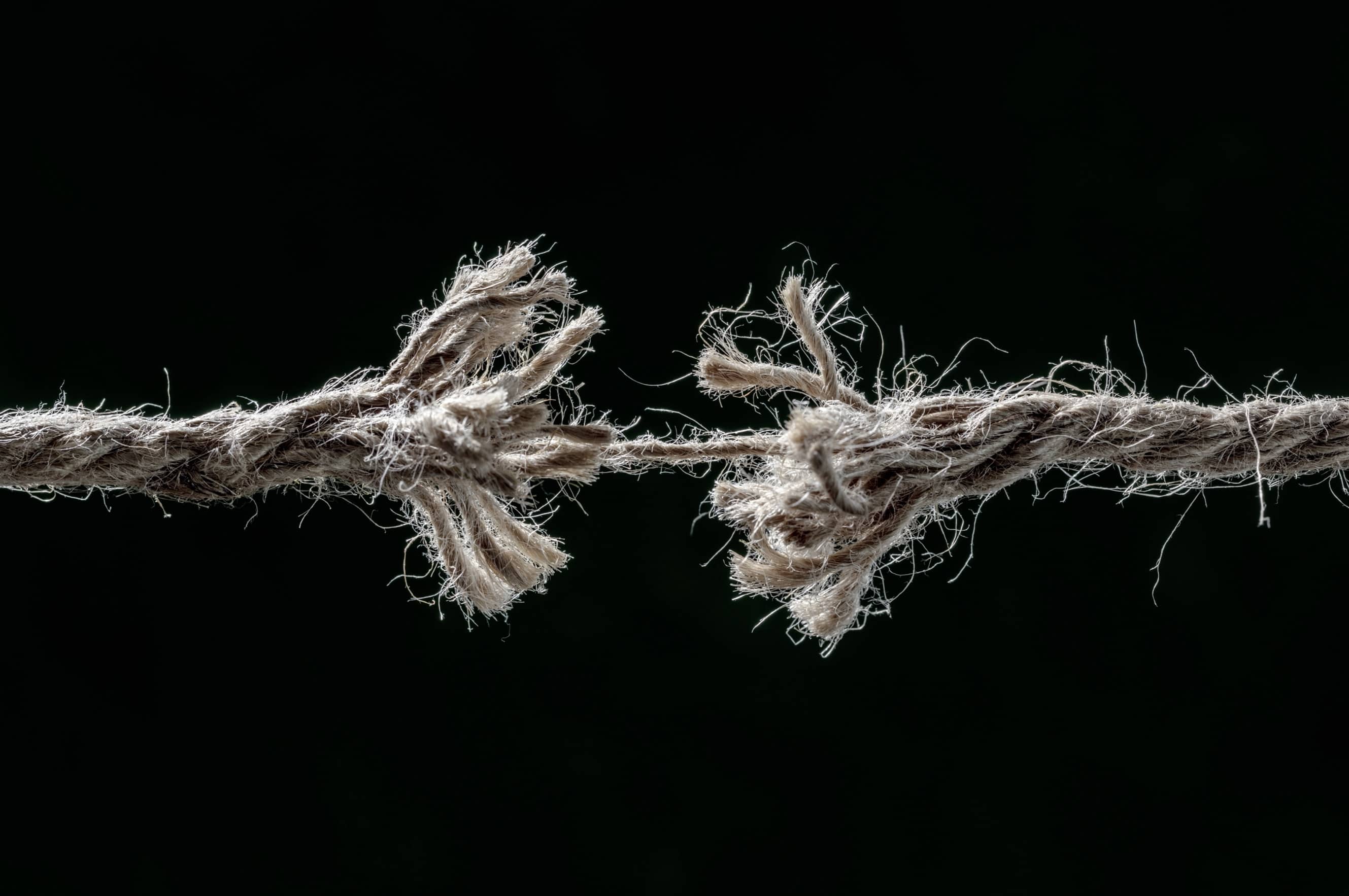 Freedom from Stress is Symptomatic of Death 