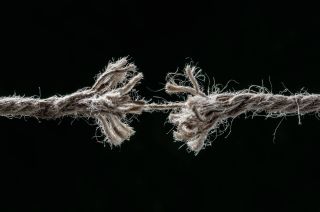 Freedom from Stress is Symptomatic of Death 