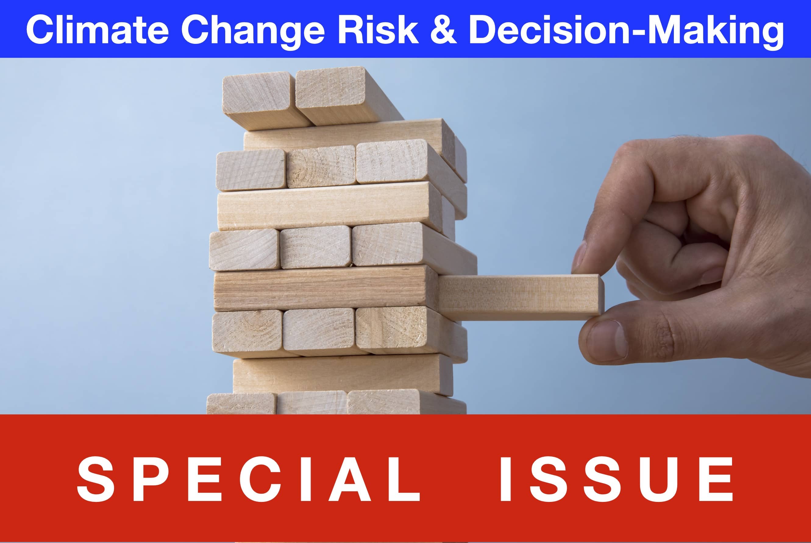 Climate Change Risk and Decision-Making